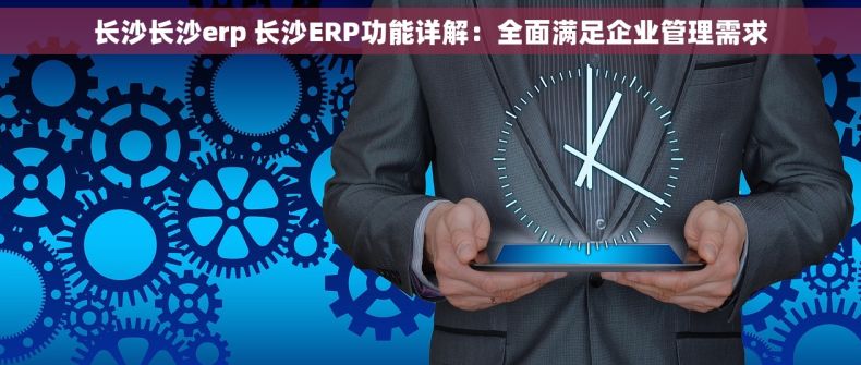长沙长沙erp 长沙ERP功能详解：全面满足企业管理需求
