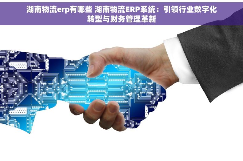 湖南物流erp有哪些 湖南物流ERP系统：引领行业数字化转型与财务管理革新