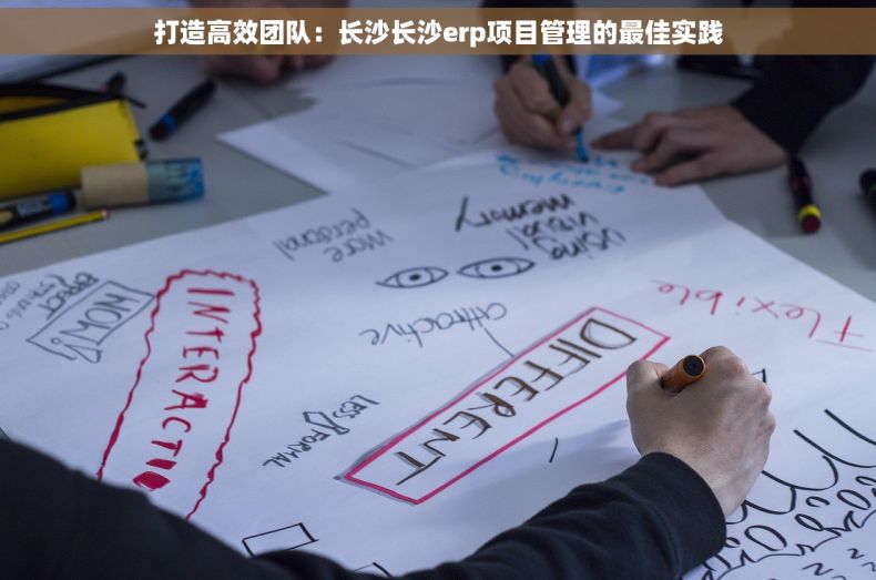 打造高效团队：长沙长沙erp项目管理的最佳实践