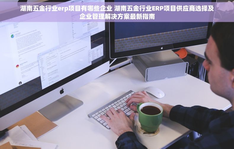 湖南五金行业erp项目有哪些企业 湖南五金行业ERP项目供应商选择及企业管理解决方案最新指南