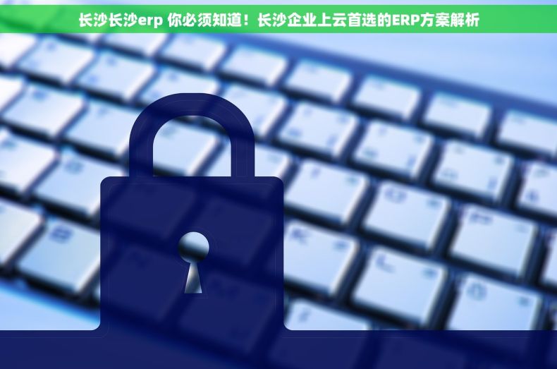 长沙长沙erp 你必须知道！长沙企业上云首选的ERP方案解析