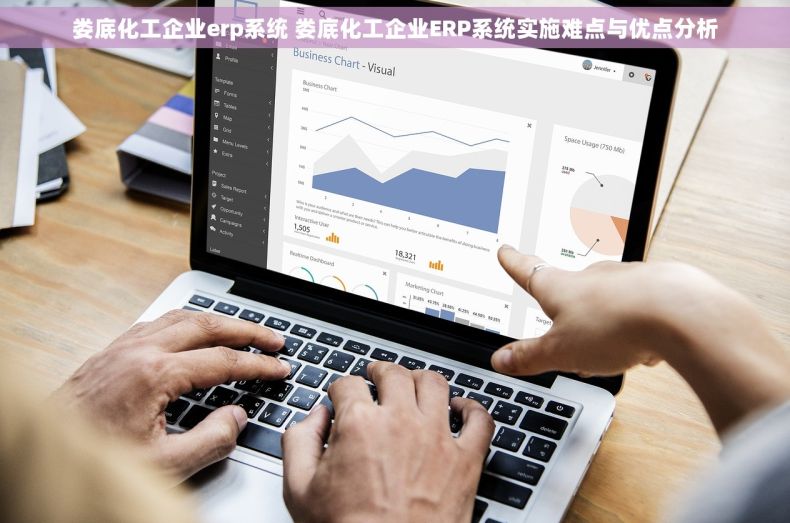娄底化工企业erp系统 娄底化工企业ERP系统实施难点与优点分析