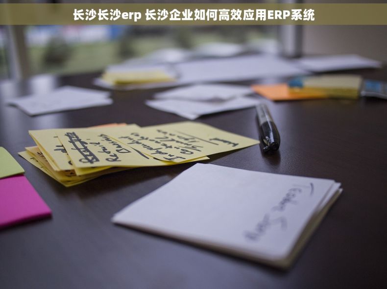 长沙长沙erp 长沙企业如何高效应用ERP系统