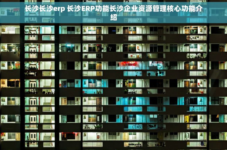 长沙长沙erp 长沙ERP功能长沙企业资源管理核心功能介绍