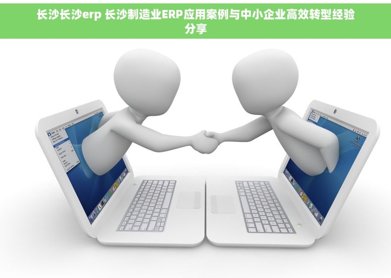 长沙长沙erp 长沙制造业ERP应用案例与中小企业高效转型经验分享