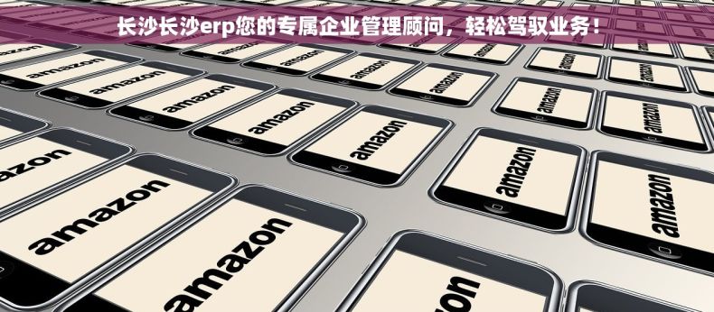 长沙长沙erp您的专属企业管理顾问，轻松驾驭业务！