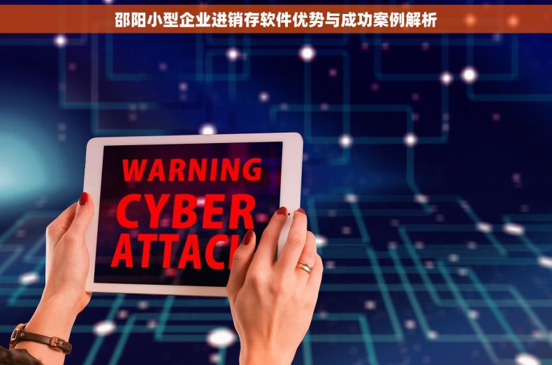 邵阳小型企业进销存软件优势与成功案例解析