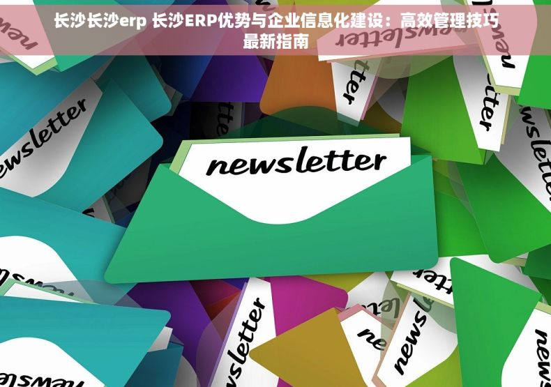 长沙长沙erp 长沙ERP优势与企业信息化建设：高效管理技巧最新指南