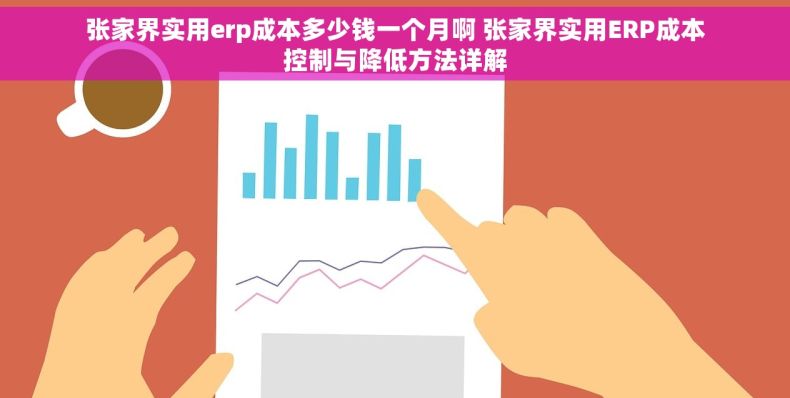 张家界实用erp成本多少钱一个月啊 张家界实用ERP成本控制与降低方法详解