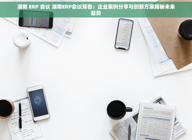 湖南 ERP 会议 湖南ERP会议预告：企业案例分享与创新方案揭秘未来趋势