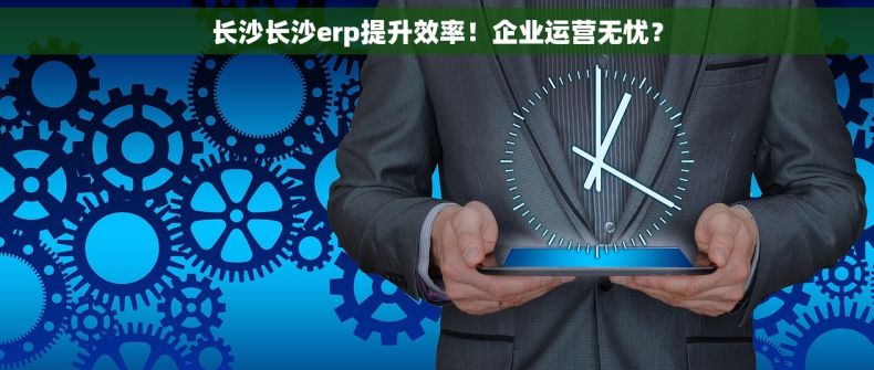 长沙长沙erp提升效率！企业运营无忧？