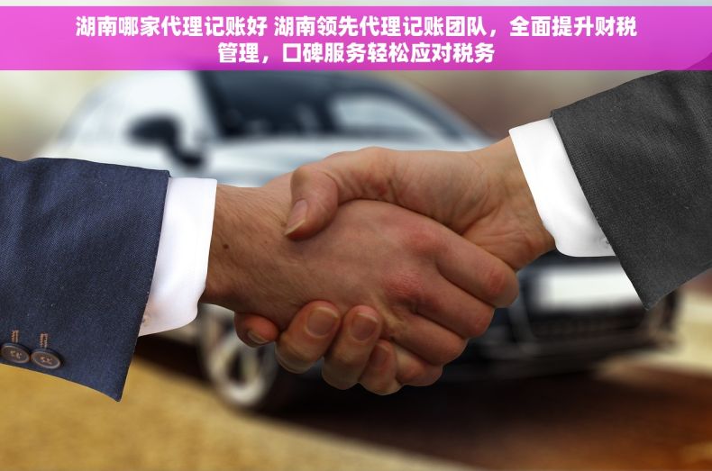 湖南哪家代理记账好 湖南领先代理记账团队，全面提升财税管理，口碑服务轻松应对税务
