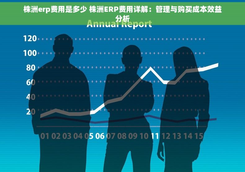 株洲erp费用是多少 株洲ERP费用详解：管理与购买成本效益分析