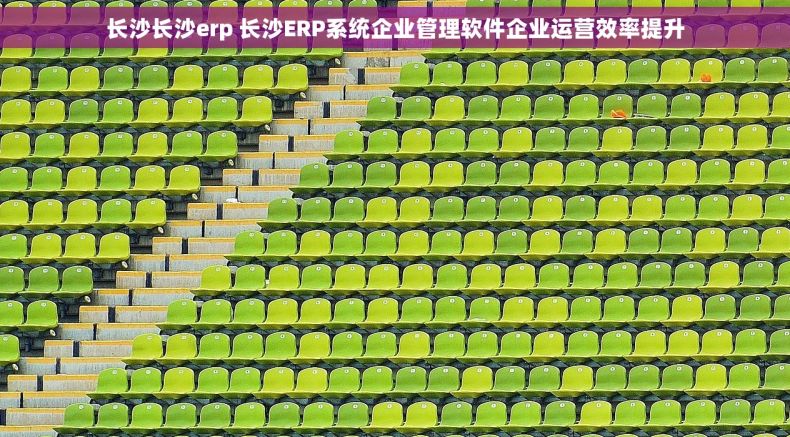 长沙长沙erp 长沙ERP系统企业管理软件企业运营效率提升