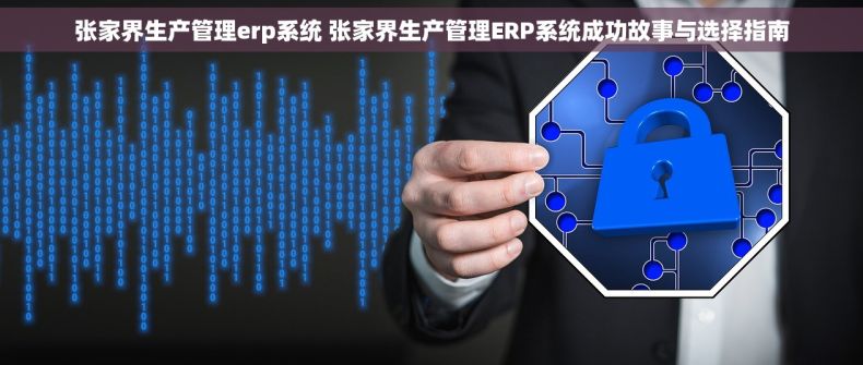张家界生产管理erp系统 张家界生产管理ERP系统成功故事与选择指南