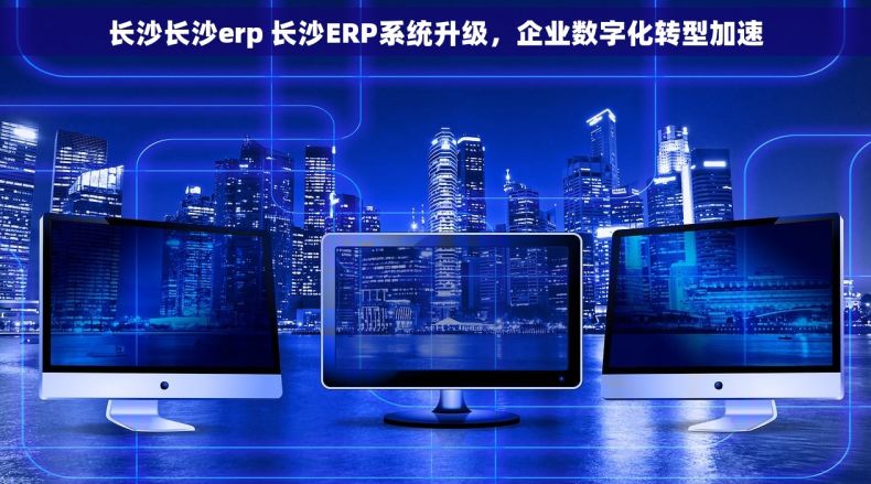 长沙长沙erp 长沙ERP系统升级，企业数字化转型加速