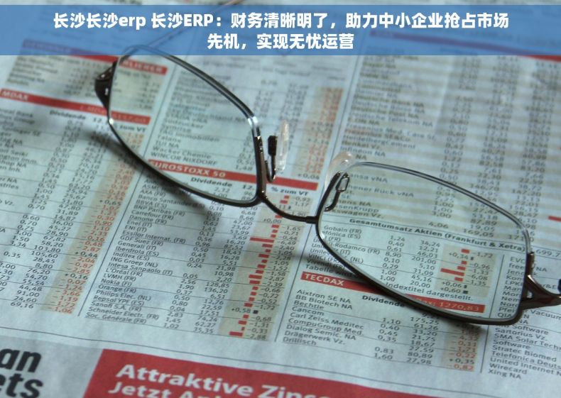 长沙长沙erp 长沙ERP：财务清晰明了，助力中小企业抢占市场先机，实现无忧运营