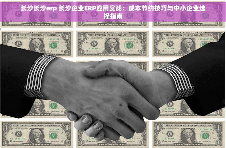 长沙长沙erp 长沙企业ERP应用实战：成本节约技巧与中小企业选择指南