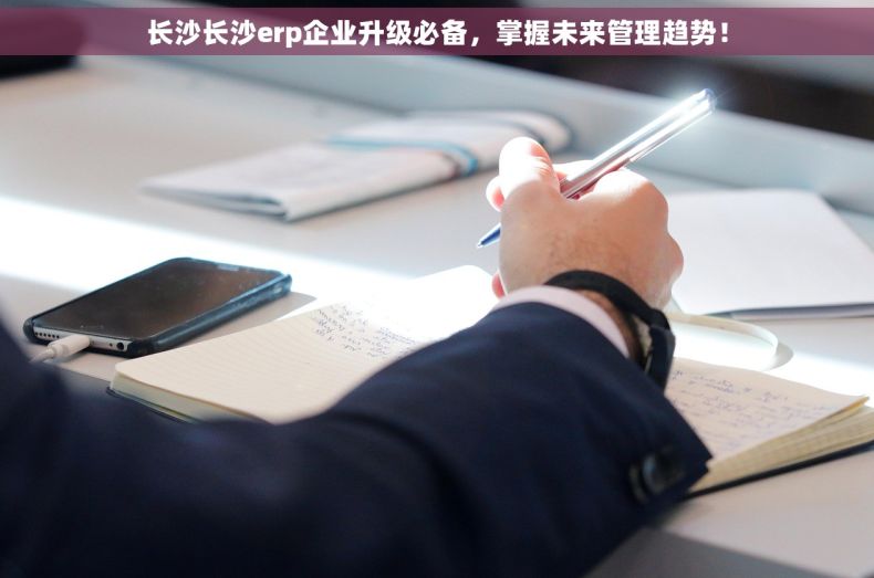 长沙长沙erp企业升级必备，掌握未来管理趋势！