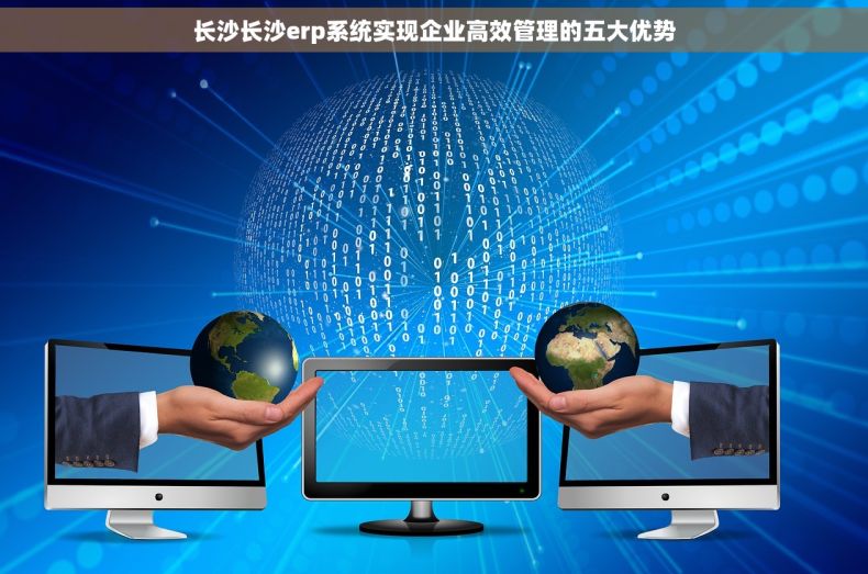 长沙长沙erp系统实现企业高效管理的五大优势