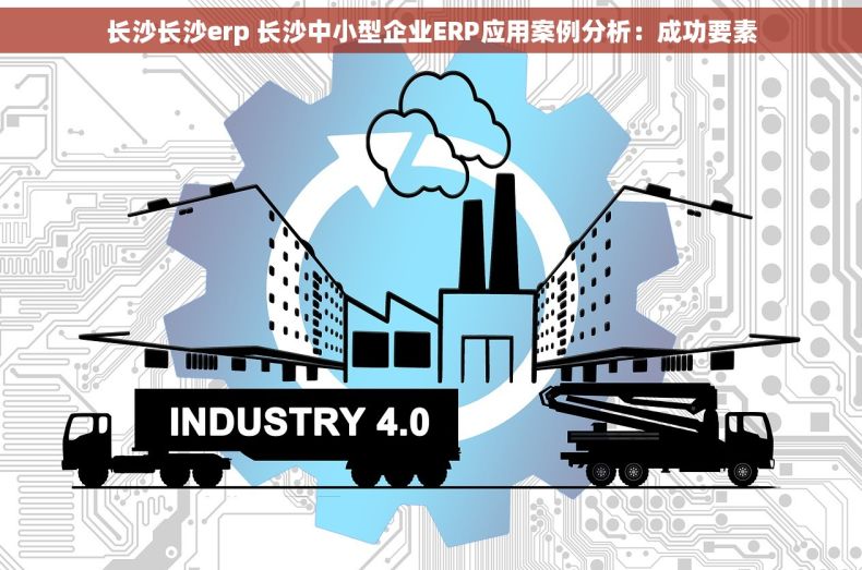 长沙长沙erp 长沙中小型企业ERP应用案例分析：成功要素
