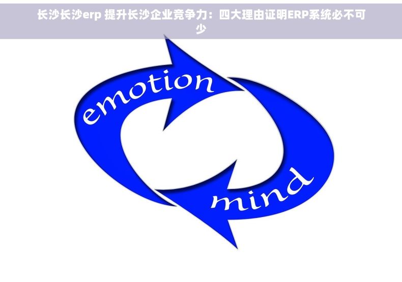长沙长沙erp 提升长沙企业竞争力：四大理由证明ERP系统必不可少
