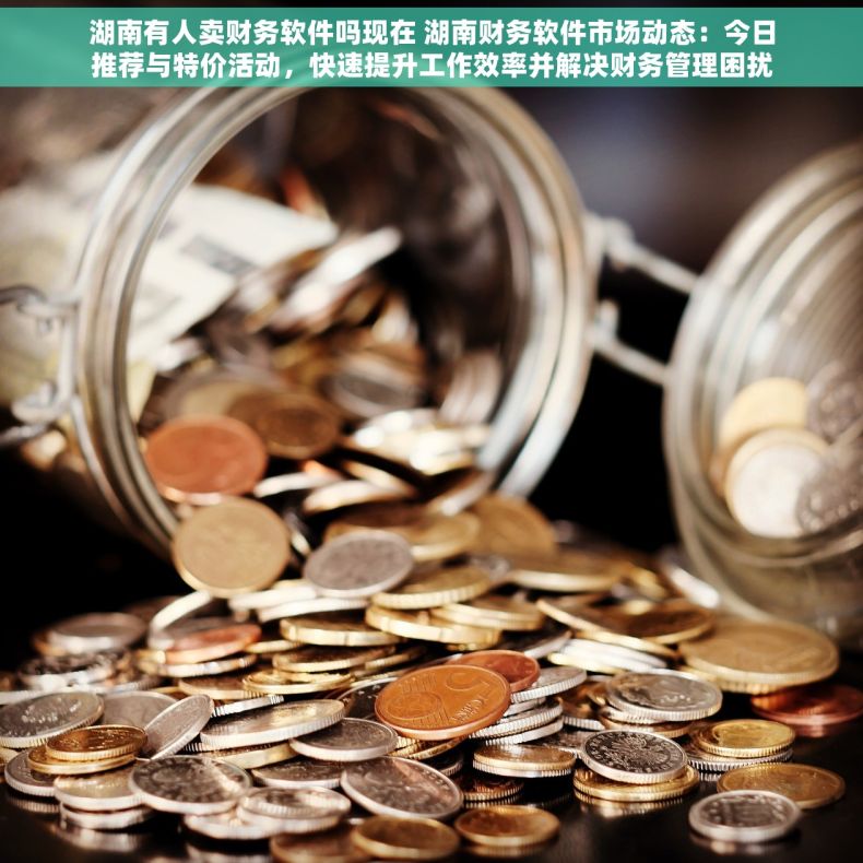 湖南有人卖财务软件吗现在 湖南财务软件市场动态：今日推荐与特价活动，快速提升工作效率并解决财务管理困扰