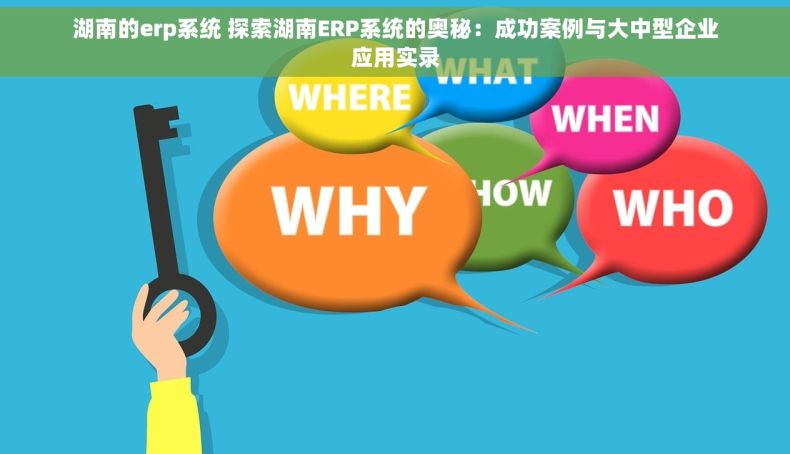 湖南的erp系统 探索湖南ERP系统的奥秘：成功案例与大中型企业应用实录