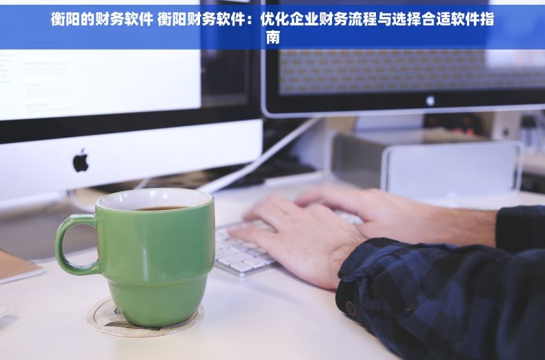 衡阳的财务软件 衡阳财务软件：优化企业财务流程与选择合适软件指南