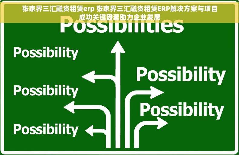 张家界三汇融资租赁erp 张家界三汇融资租赁ERP解决方案与项目成功关键因素助力企业发展