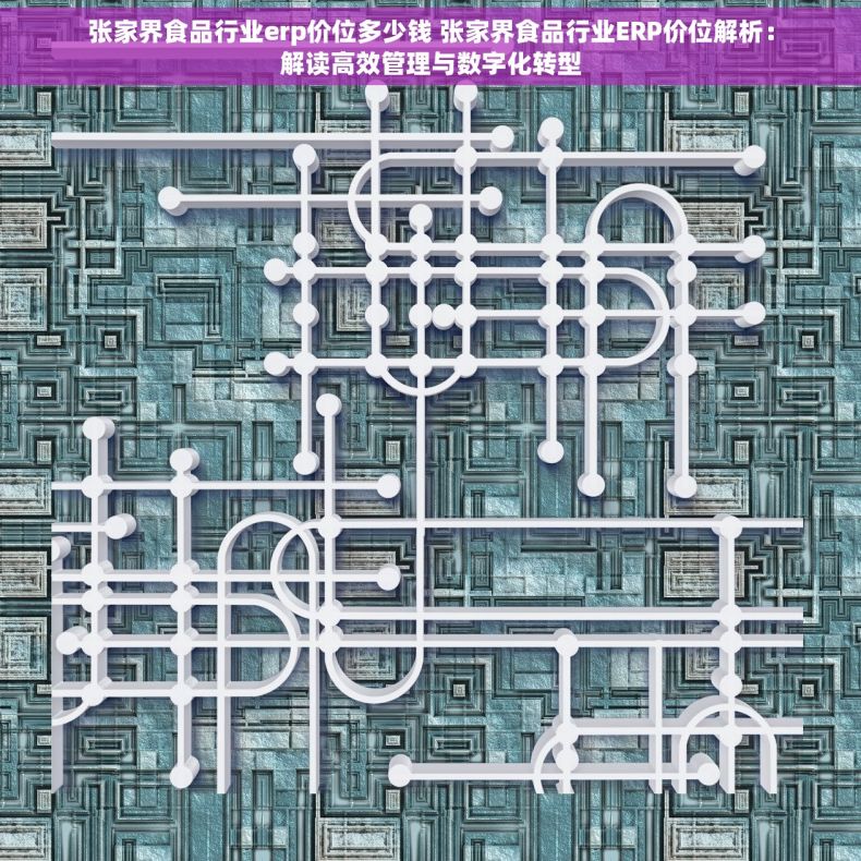 张家界食品行业erp价位多少钱 张家界食品行业ERP价位解析：解读高效管理与数字化转型