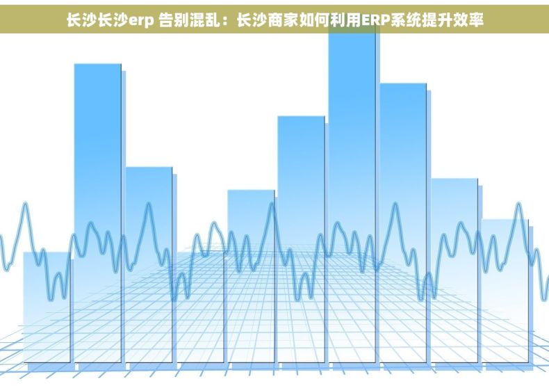 长沙长沙erp 告别混乱：长沙商家如何利用ERP系统提升效率