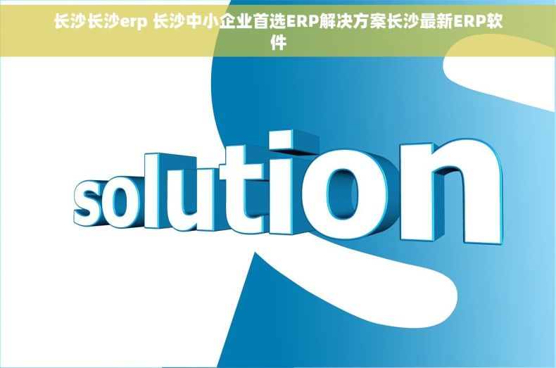 长沙长沙erp 长沙中小企业首选ERP解决方案长沙最新ERP软件