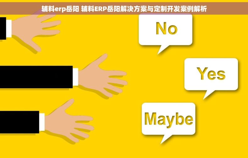 辅料erp岳阳 辅料ERP岳阳解决方案与定制开发案例解析