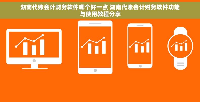 湖南代账会计财务软件哪个好一点 湖南代账会计财务软件功能与使用教程分享