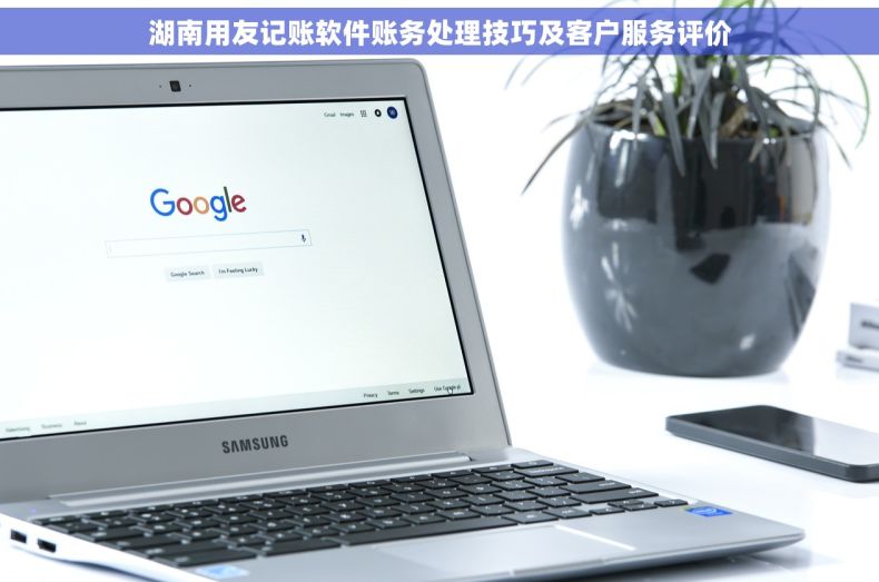 湖南用友记账软件账务处理技巧及客户服务评价
