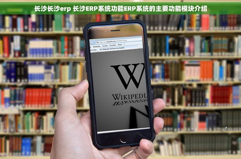 长沙长沙erp 长沙ERP系统功能ERP系统的主要功能模块介绍