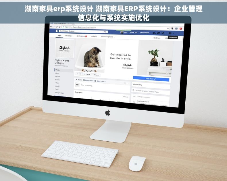 湖南家具erp系统设计 湖南家具ERP系统设计：企业管理信息化与系统实施优化