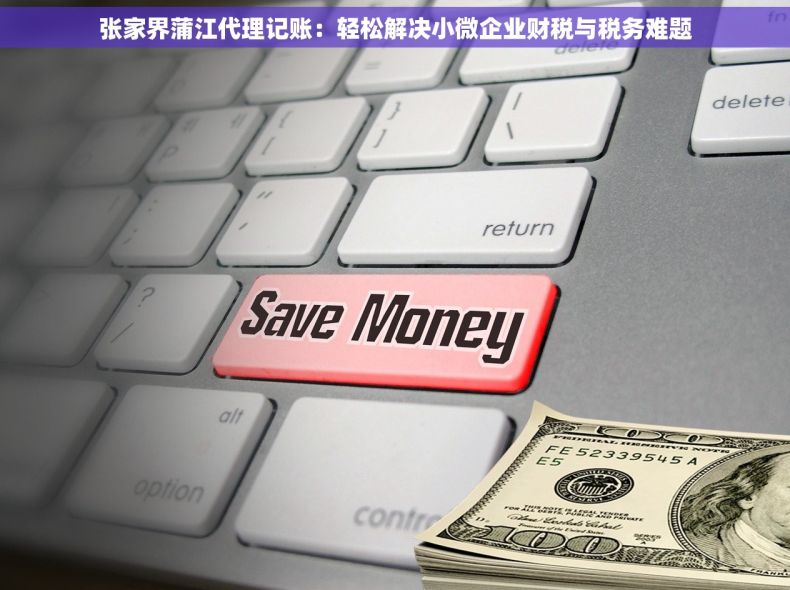 张家界蒲江代理记账：轻松解决小微企业财税与税务难题