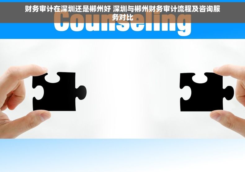 财务审计在深圳还是郴州好 深圳与郴州财务审计流程及咨询服务对比