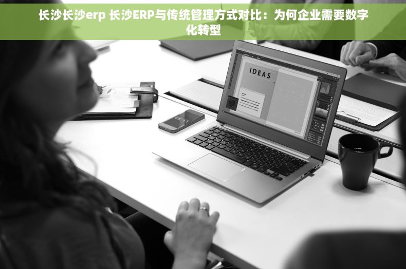 长沙长沙erp 长沙ERP与传统管理方式对比：为何企业需要数字化转型