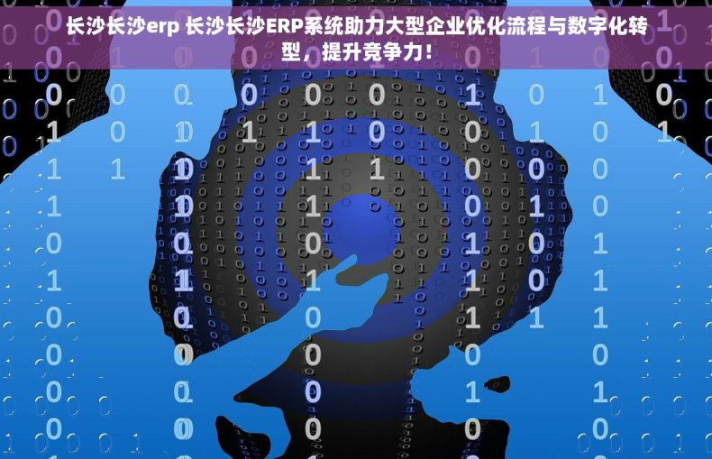 长沙长沙erp 长沙长沙ERP系统助力大型企业优化流程与数字化转型，提升竞争力！