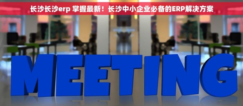 长沙长沙erp 掌握最新！长沙中小企业必备的ERP解决方案