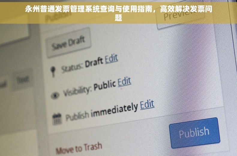 永州普通发票管理系统查询与使用指南，高效解决发票问题