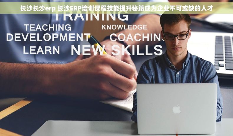 长沙长沙erp 长沙ERP培训课程技能提升秘籍成为企业不可或缺的人才