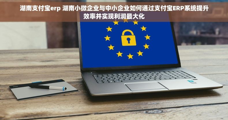 湖南支付宝erp 湖南小微企业与中小企业如何通过支付宝ERP系统提升效率并实现利润最大化