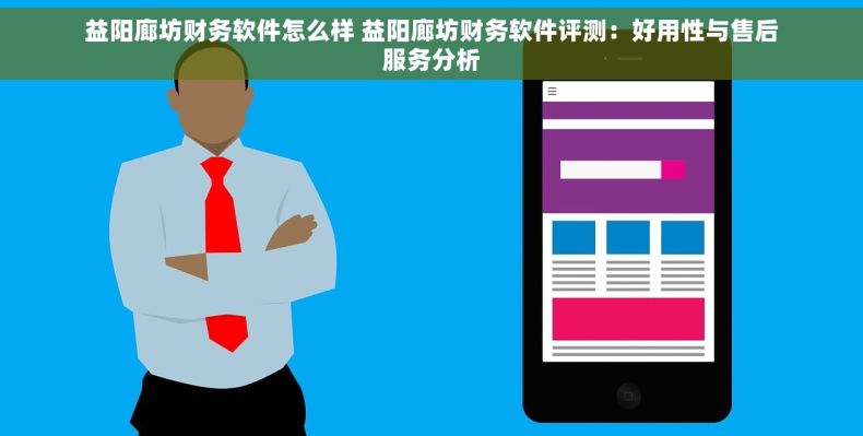 益阳廊坊财务软件怎么样 益阳廊坊财务软件评测：好用性与售后服务分析
