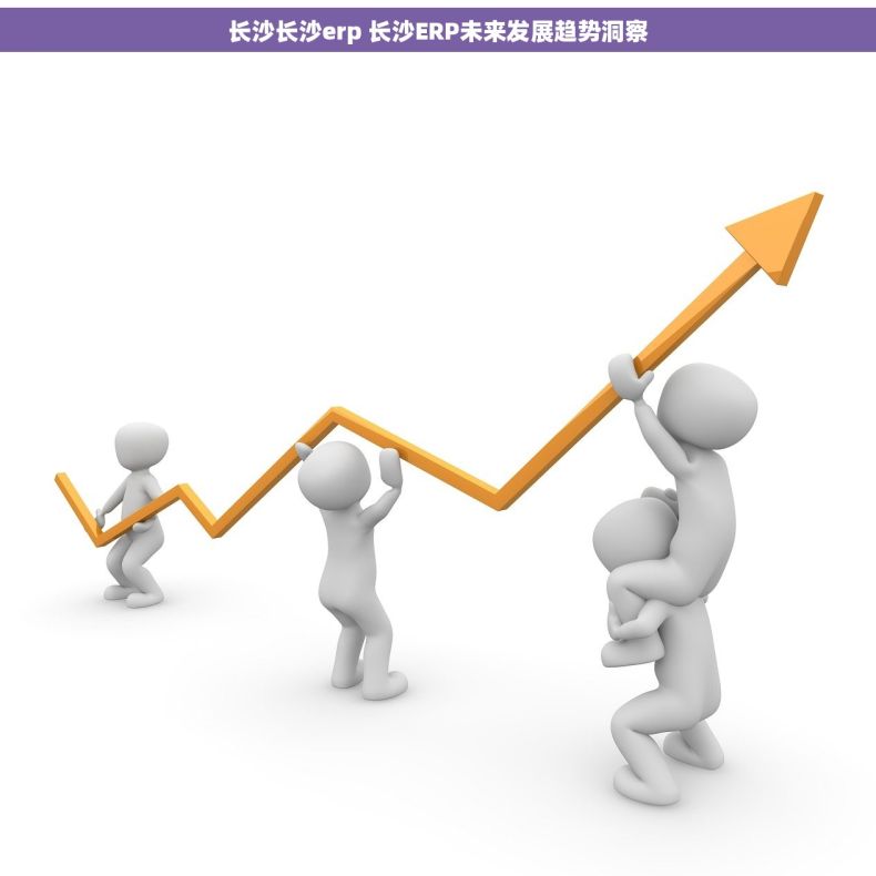 长沙长沙erp 长沙ERP未来发展趋势洞察