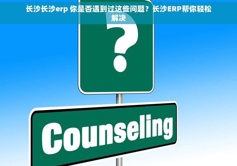长沙长沙erp 你是否遇到过这些问题？长沙ERP帮你轻松解决