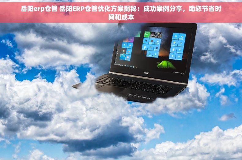 岳阳erp仓管 岳阳ERP仓管优化方案揭秘：成功案例分享，助您节省时间和成本